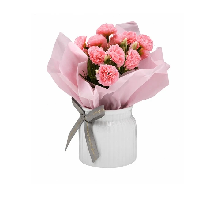 Flori Artificiale Garofita In Ghiveci Pvc A-80951 Wei